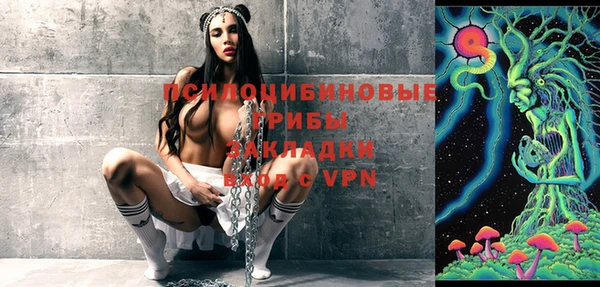 мдпв Семилуки
