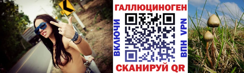 Псилоцибиновые грибы прущие грибы Купить Южа